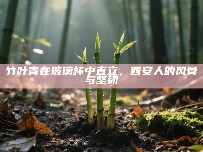 竹叶青在玻璃杯中直立，西安人的风骨与坚韧